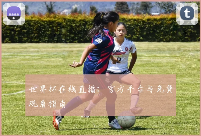 世界杯在线直播：官方平台与免费观看指南
