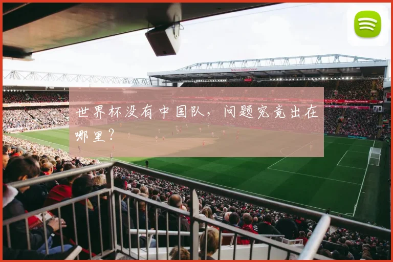 世界杯没有中国队,问题究竟出在哪里?